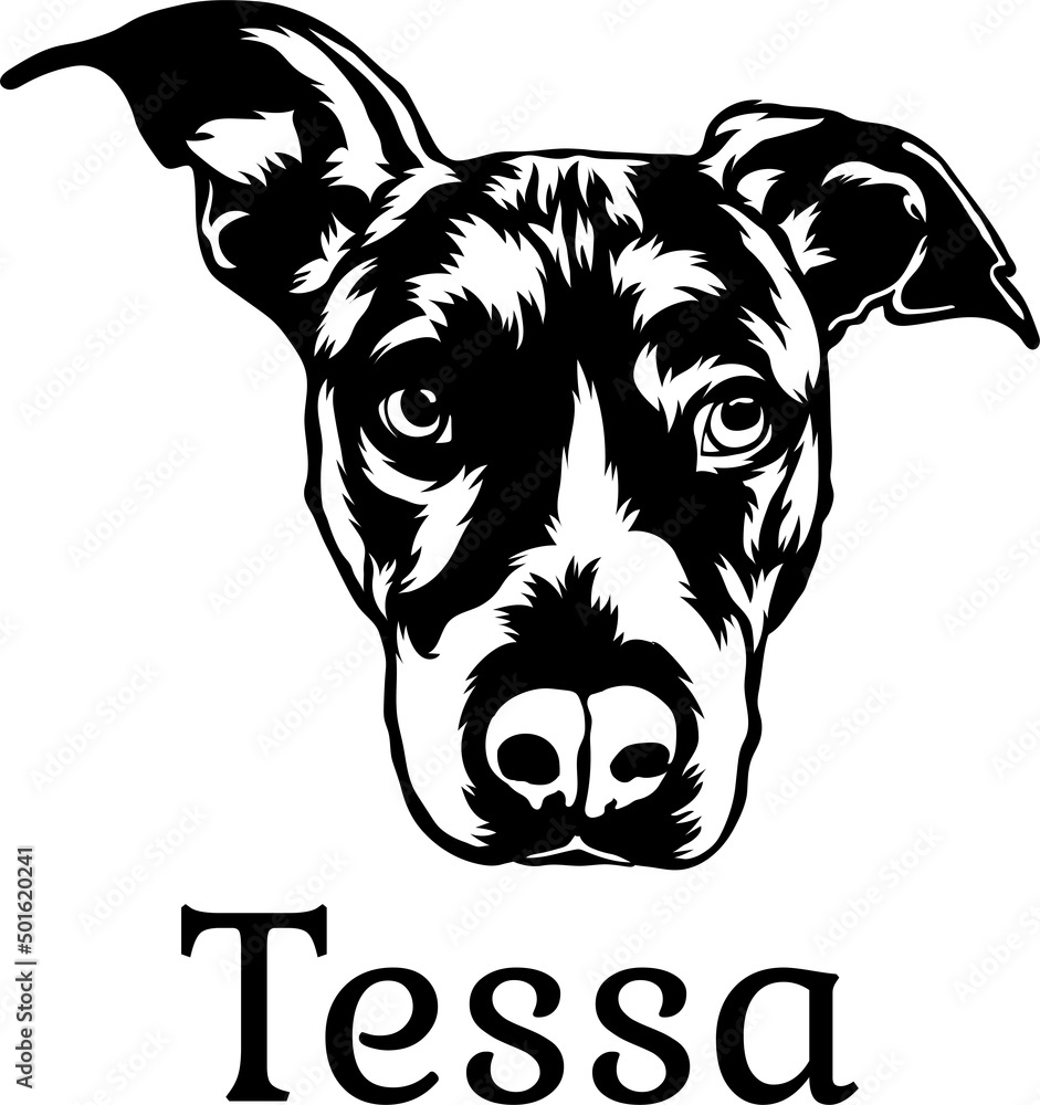 Tessa Black White Vector suitable for logo Tessa Black White Vector suitable for logo