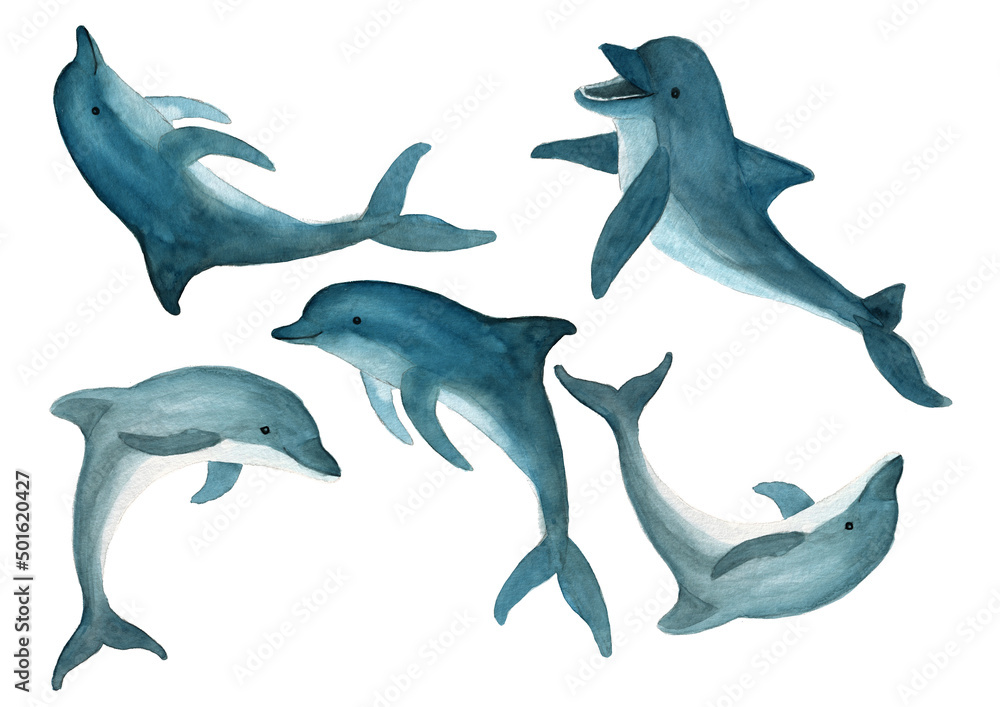 Fototapeta premium Dolphin cartoon set illustration isolated on white background. Watercolor drawing of underwater animals.