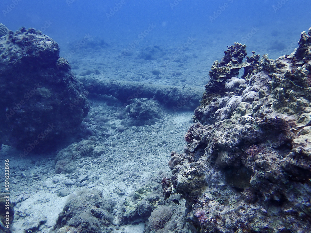 Obraz premium Underwater in Saipan, Mariana Islands
