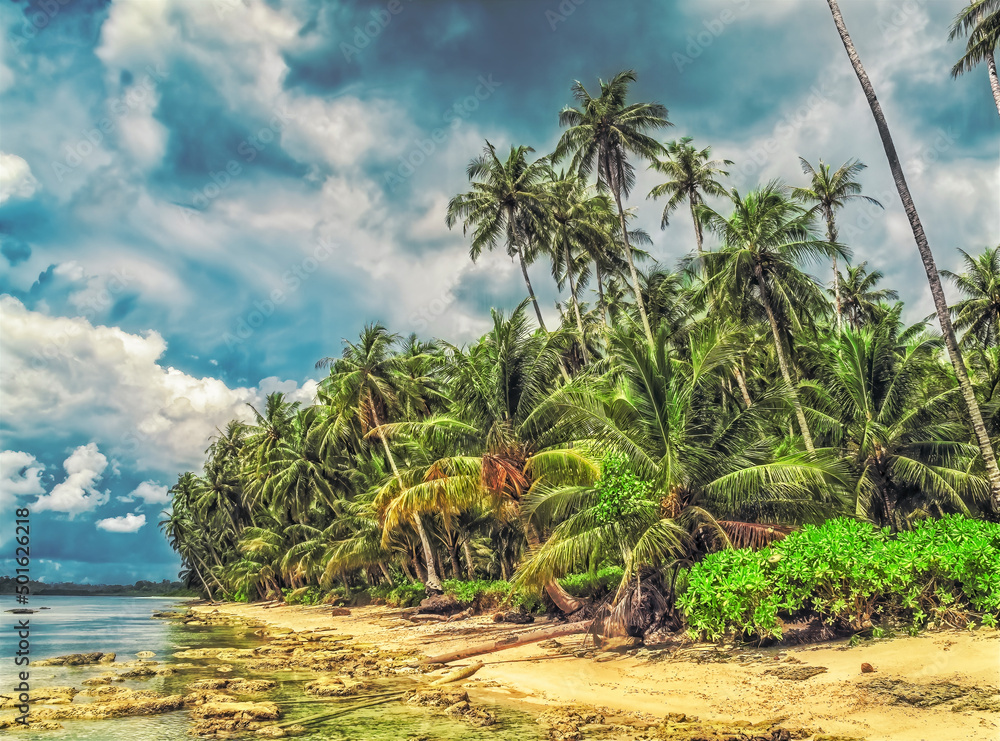 Palm trees on the coast of a tropical island Palm trees on the coast of a tropical island