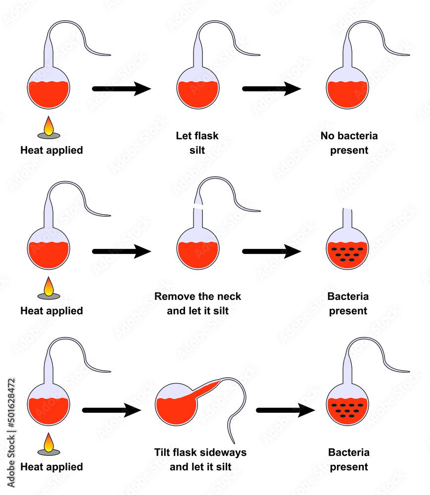 Vector Scientific Designing Of Pasteur's Experiment. Colorful Symbols