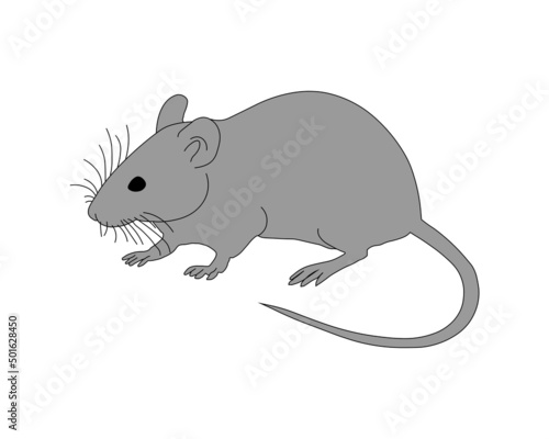 Simple Drawing Of Laboratory Mouse. Vector Illustration.