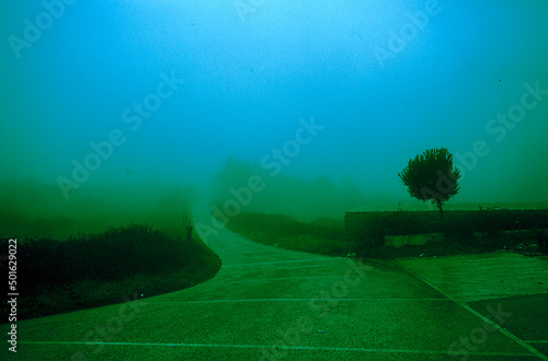 nebbia