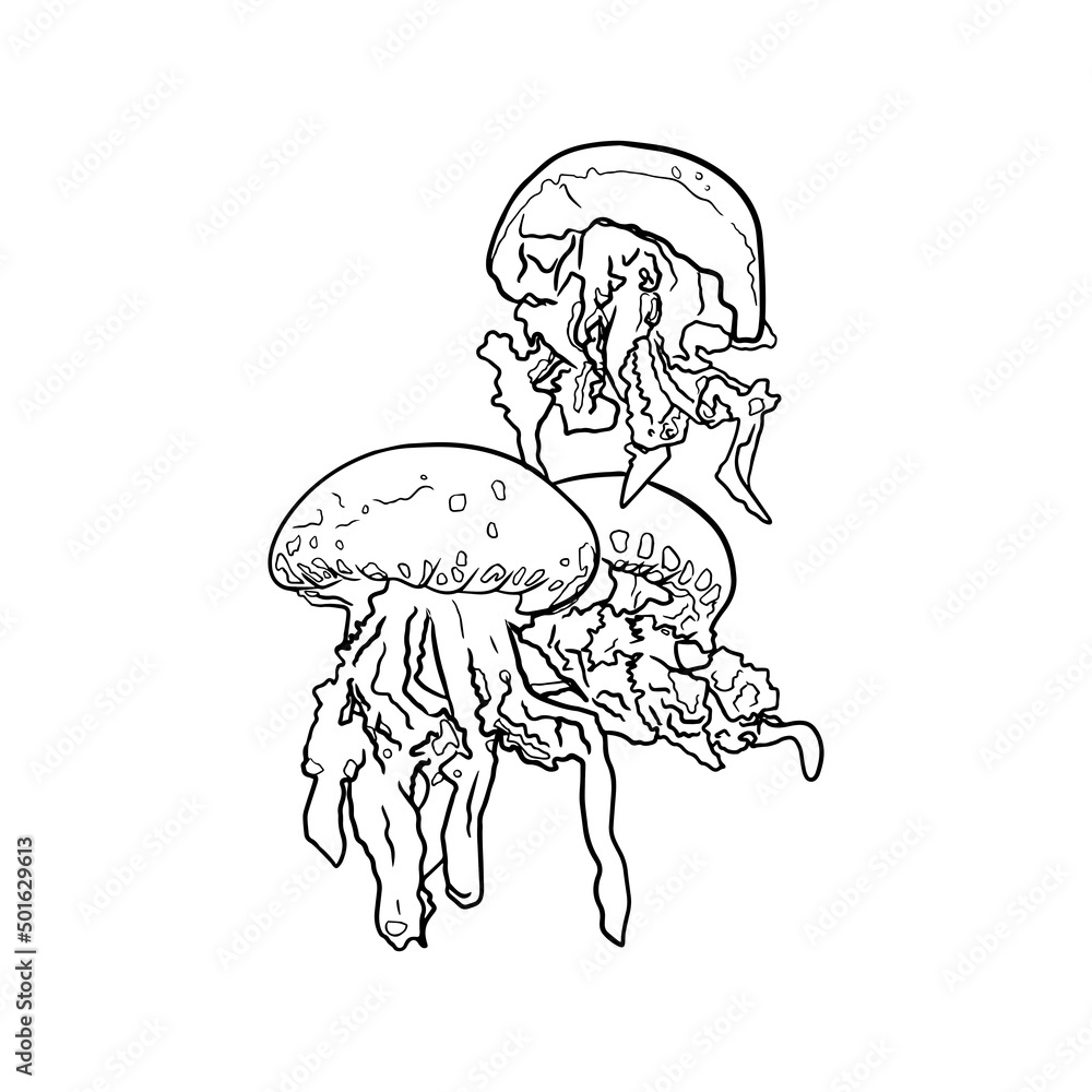 Isolated vector illustration Isolated vector illustration