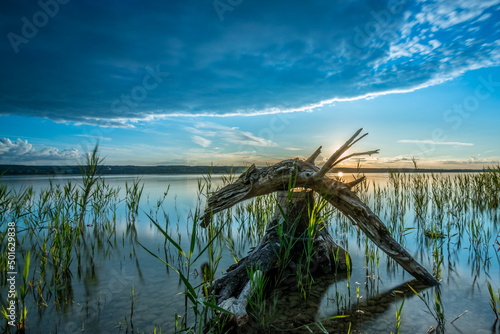 Ammersee 