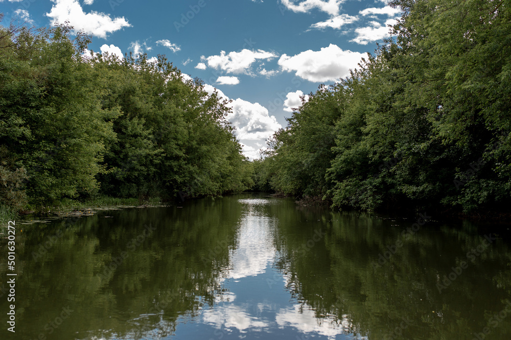 River in the forest in the Penza region