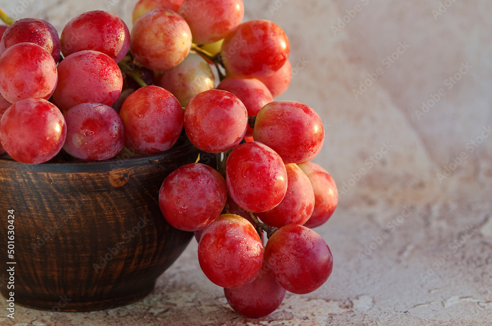 Bunch of grapes. Ripe large grape berries in a ceramic bowl on an abstract background. Vine. Bunch of grapes. Ripe large grape berries in a ceramic bowl on an abstract background. Vine.