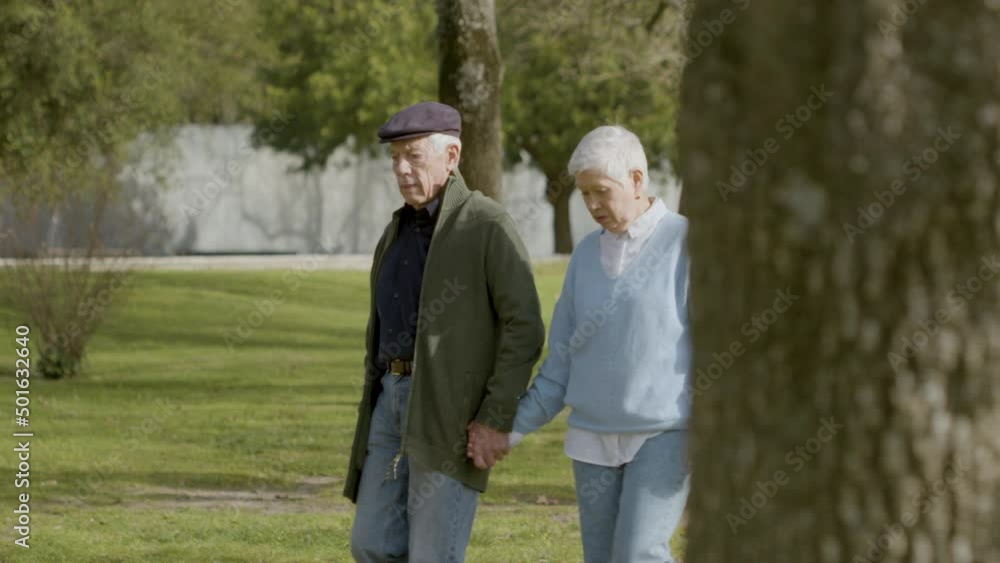 Senior Caucasian couple walking in park on warm autumn day. White-haired elderly spouses holding hands while strolling along path in green park and talking. Leisure, retirement concept Senior Caucasian couple walking in park on warm autumn day. White-haired elderly spouses holding hands while strolling along path in green park and talking. Leisure, retirement concept