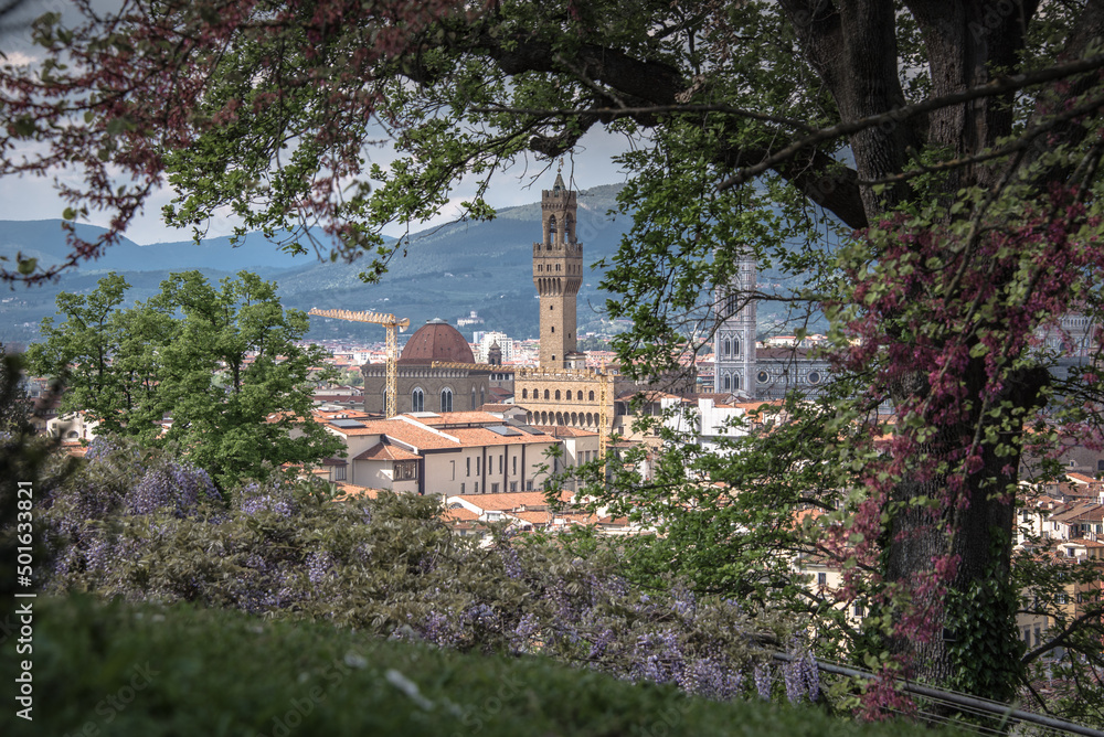 The magic of wisteria in Florence