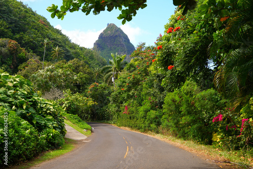 Photos Kuhio Highway on the North Shore of Kauai island in Hawaii, United States - Coun