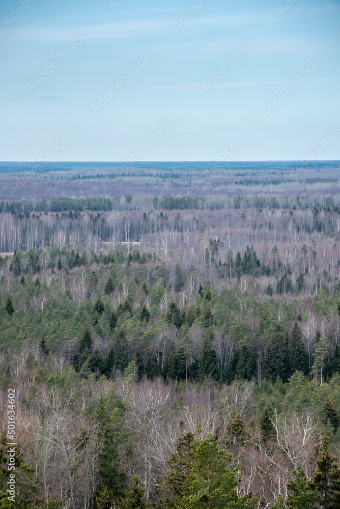 view of a forest from the top of a tall tower in Estonia