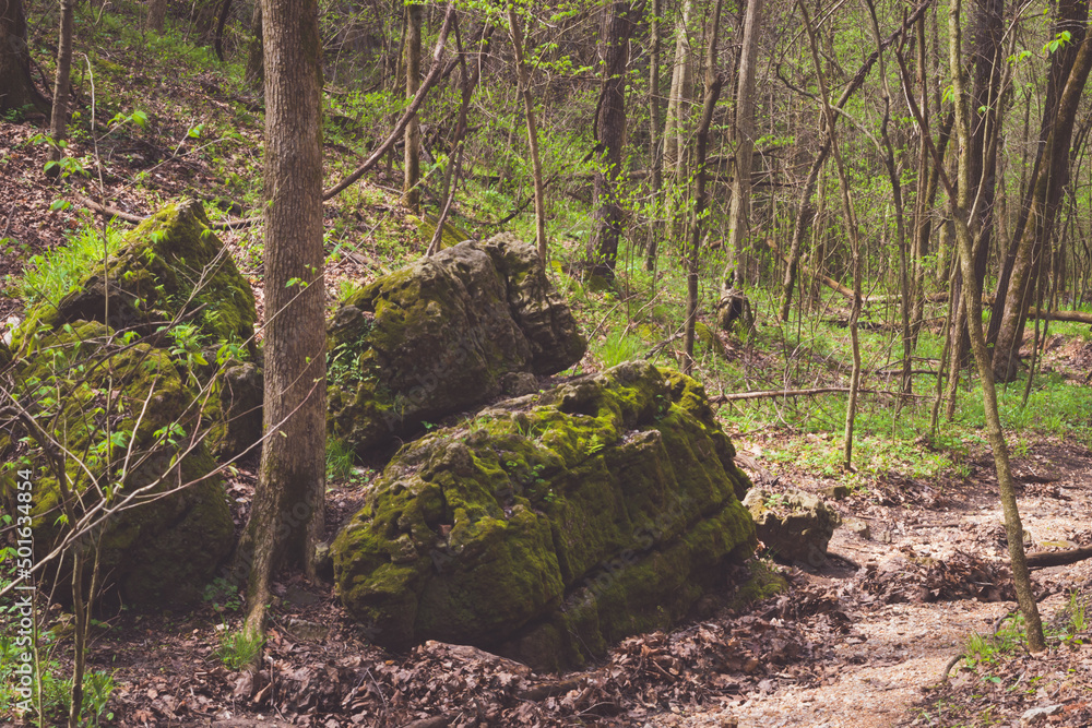 Ha Ha Tonka state park and natural bridge