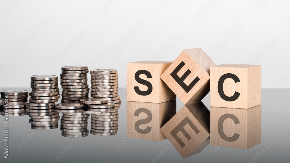 SEC - the text is made up of letters on wooden cubes lying on a mirror surface SEC - the text is made up of letters on wooden cubes lying on a mirror surface