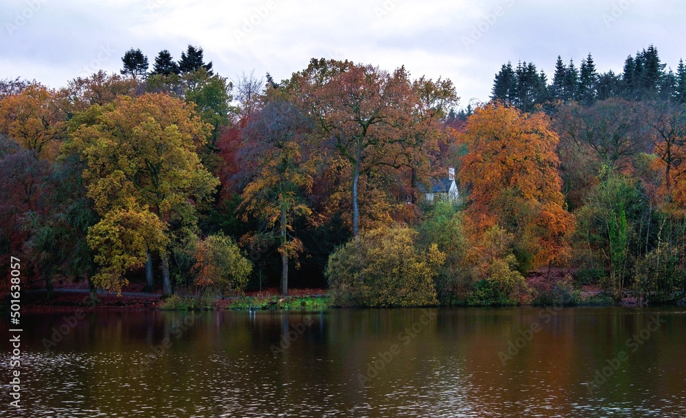 Beautiful Autumn Colours On the Trees At Royal Hillsborough Lake, Northern Ireland
