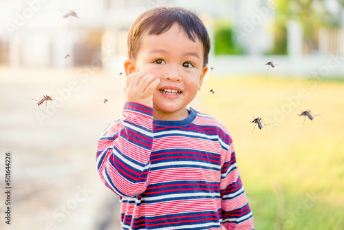 World malaria day.Mosquitoes bite kid child boy on face.Mosquito blood breeding on kids.Repellent, Dengue virus, Yellow fever, Malaria vaccine Mosquitoes concept.Cream and Spray repellent.Skin allergy photo