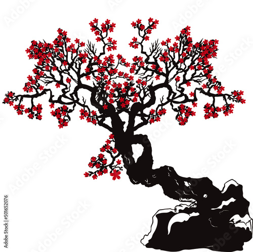 red cherry blossom tree with flowers