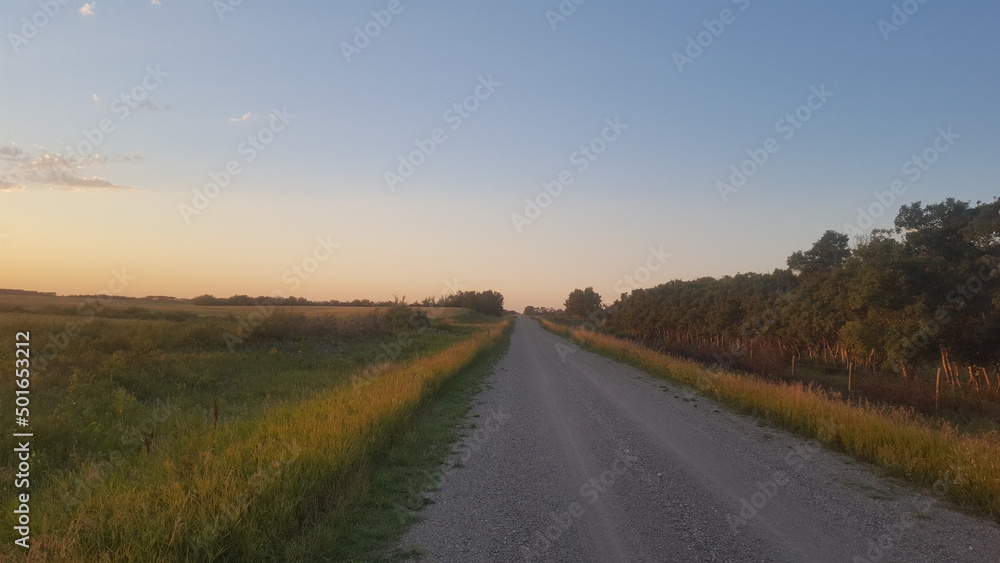 Rural road through fields in Saskatchewan at sunset