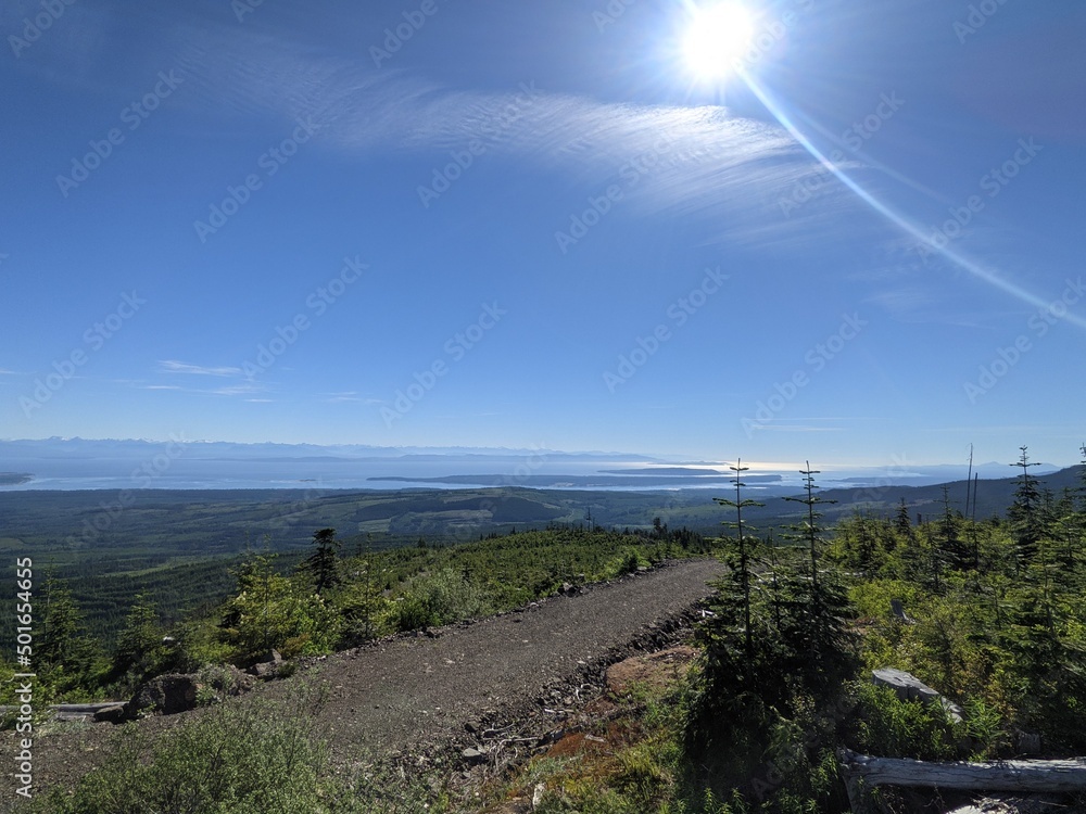 Fototapeta premium High elevation forestry road