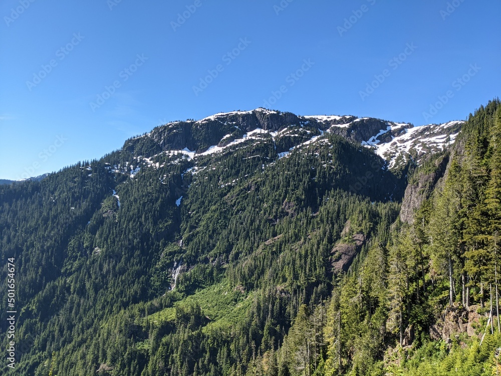 View of a Mountain Top, Vancouver Island, Canada
