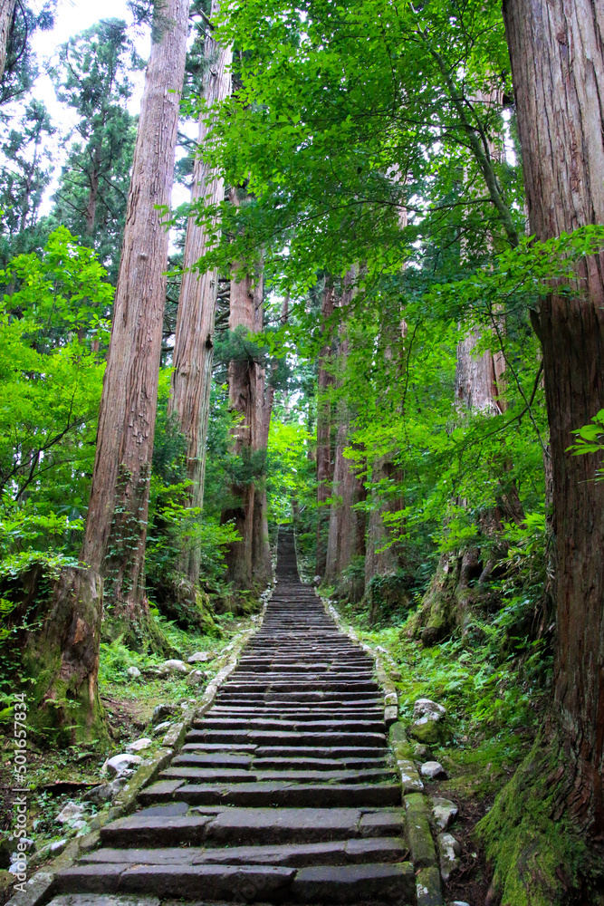 Obraz premium 羽黒山