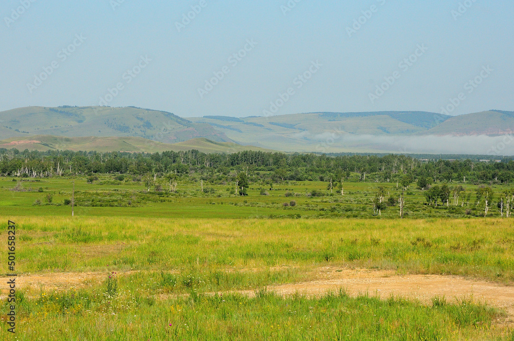 A large clearing at the edge of a birch forest at the foot of a mountain range on a warm summer day.