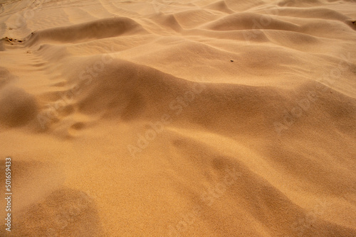 Little Sahara State Park, OK © NZP Chasers