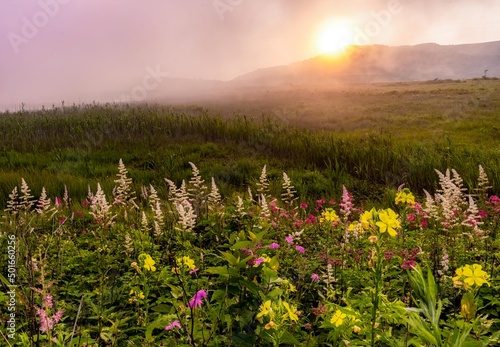 Plateau flower garden