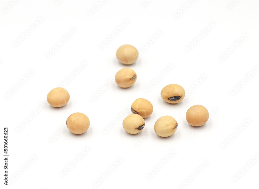 soybean seeds isolated on white background