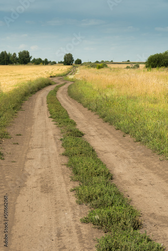 Rural dirt road on summer day. Dry rut  green grass on side. Rustic lifestyle. Lack of transport infrastructure. Symbol travel  move forward