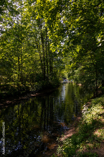 View of the pond in Central Park of Culture and Rest in St. Petersburg