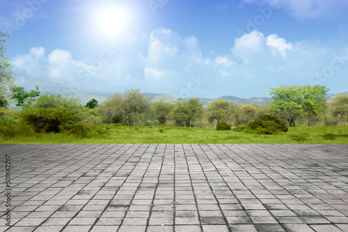 Pathway with meadow field view