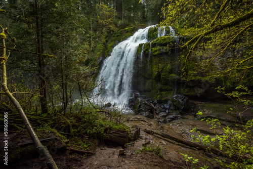 Fototapeta Naklejka Na Ścianę i Meble -  Little Mashel Falls seen through an opening in the forest.
