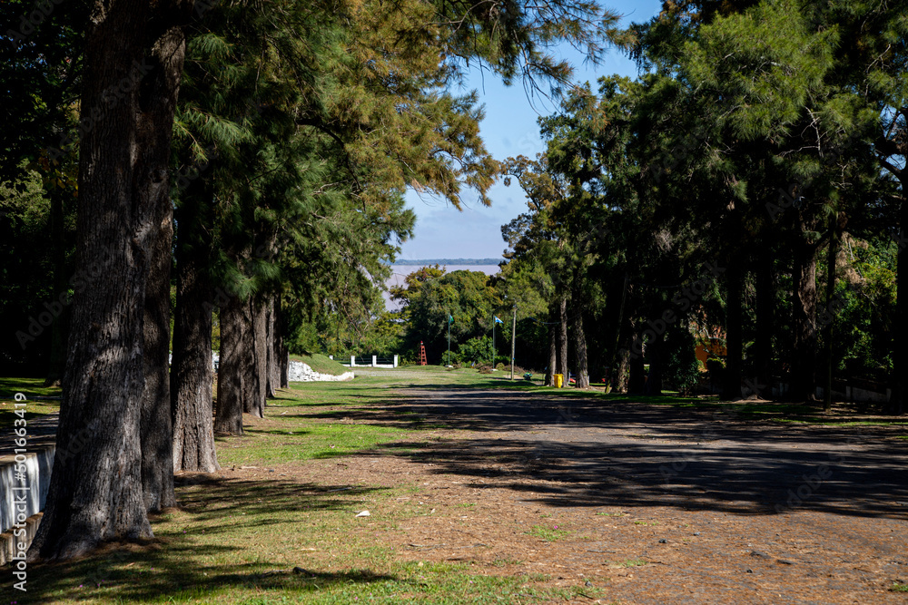 alley in the park alley in the park