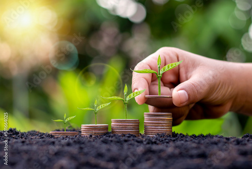 Planting a tree on a pile of coins, including a woman's hand holding a coin to a tree on the coin. concept of saving money and future investment