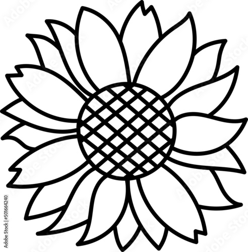 sunflower doodle hand drawing icon