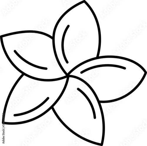 plumerias doodle hand drawing icon