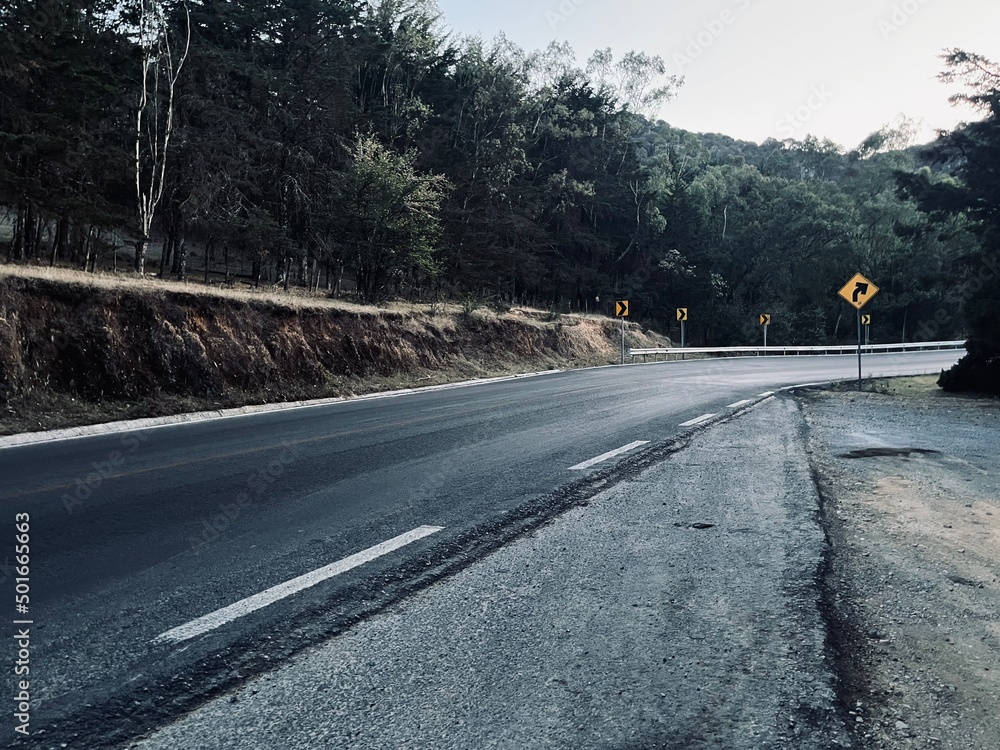 Fototapeta premium road in the fog