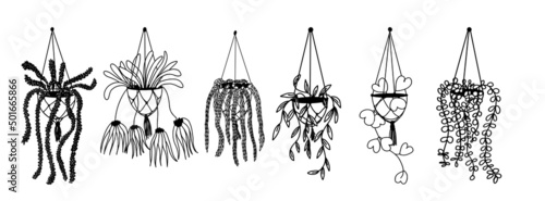 A set of ampel flowers in hanging pots, home decor. Hand-drawn, linear black and white sketch. Curly flowers. Vector illustration