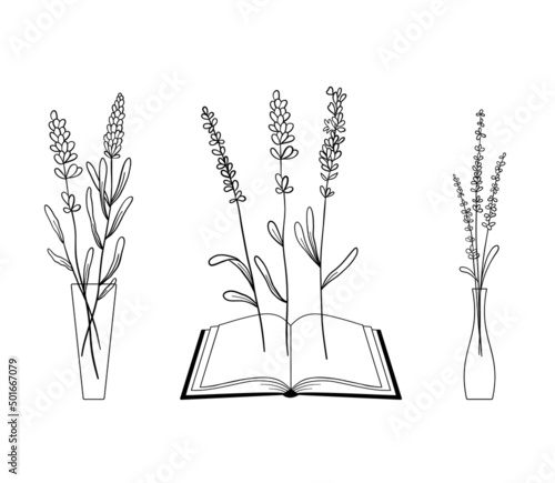 Set of lavender flowers in line style in vases and book. Collection of wildflower plants and bouquet of lavender branches. Vector illustration isolated on white background