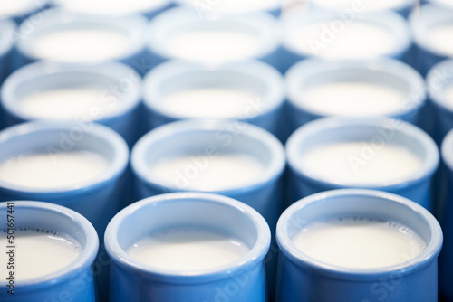 Jars of milk ready for ripening and turning into yogurt. The process of producing homemade yogurt. Front view.