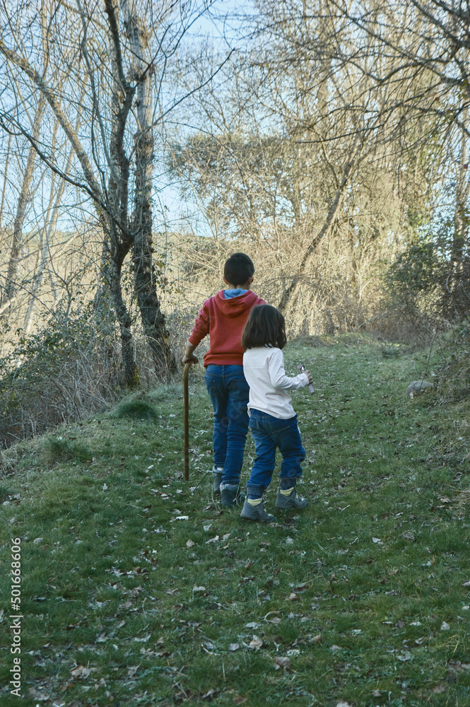 An 11-year-old boy joyfully walks hand in hand with his 5-year-old sister along a forest trail. An 11-year-old boy joyfully walks hand in hand with his 5-year-old sister along a forest trail.