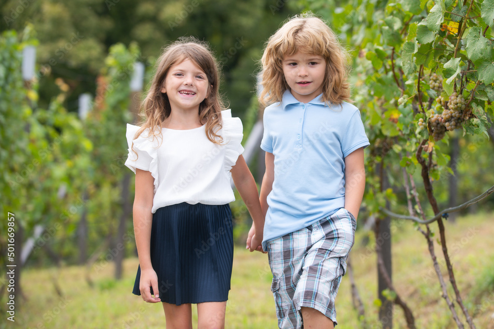 Fototapeta premium Brother and sister walking outdoors. Little boy and girl working in the garden. Two happy children in summer park. Kids summer holiday vacation concept. Childrens friendship.