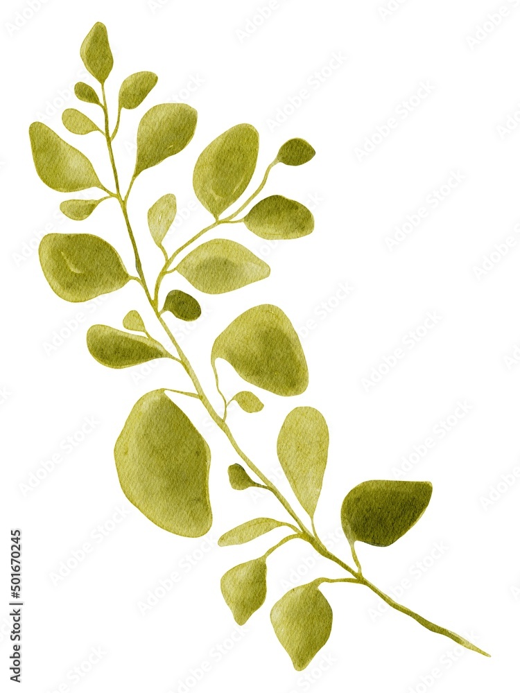 Obraz premium Hand Drawing Watercolor Beautiful Plant with yellow green Leaves. Use for poster, card, print, textile, template, fabric, pattern, stickers, wedding, celebration, birthday