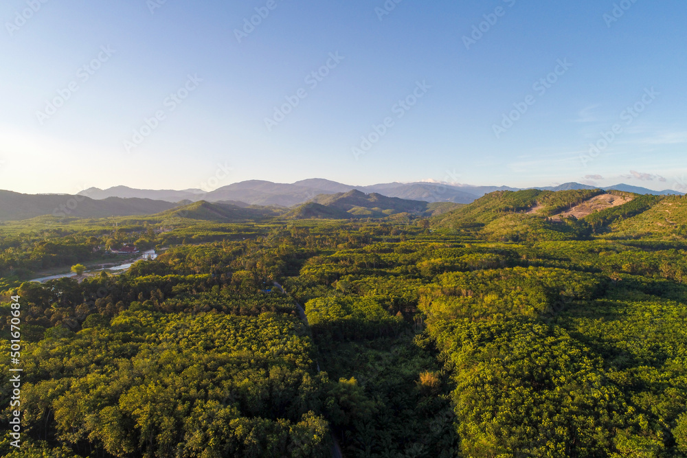 Aerial view green tropical rain forest sunny day nature landscape