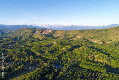 Aerial view green tropical rain forest sunny day nature landscape © themorningglory