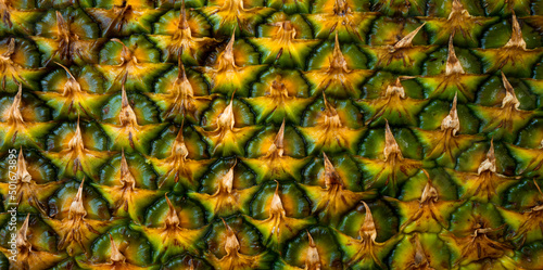 Fototapeta Naklejka Na Ścianę i Meble -  Pineapple texture. Pineapple skin close up, tropical pattern with copy space. Patterned fruits banner.