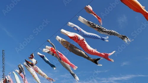 空を泳ぐ5月のこいのぼり