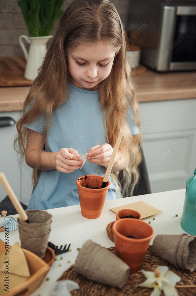 Little girl sitting at the table at home, sowing seeds into flower pots. Little girl sitting at the table at home, sowing seeds into flower pots.