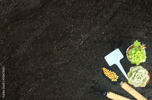 Top view of gardening tools and minimal succulent plant  on soil. Agriculture background concept with copy space. World envionment day background. photo