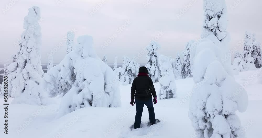 Following a silhouette girl walking in snow covered woods of Lapland Aerial view Following a silhouette girl walking in snow covered woods of Lapland Aerial view